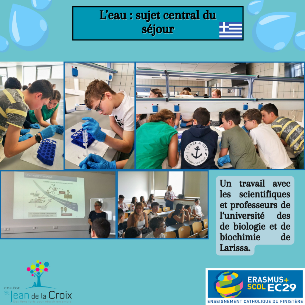 Erasmus 5