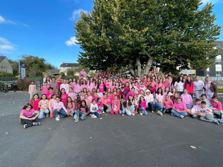 OCTOBRE ROSE Avant les vacances nos eleves se sont mobilises 1 1398246375641555 - Le Relecq-Kerhuon Brest
