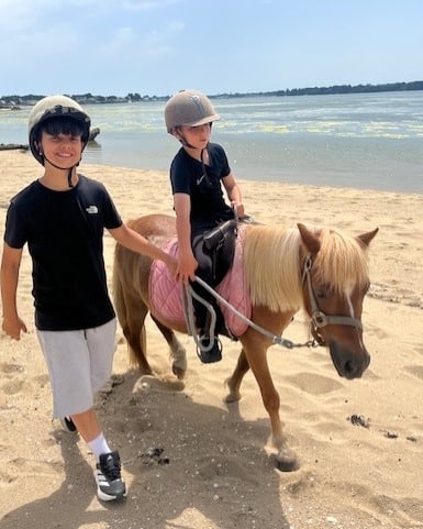 ILE TUDY 6e Prendre soin dun animal cest 1 1596885712444286 - Le Relecq-Kerhuon Brest ILE TUDY 6e Prendre soin dun animal cest 1 1596885712444286 - Le Relecq-Kerhuon Brest